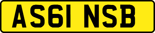 AS61NSB