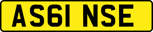 AS61NSE