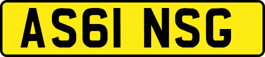 AS61NSG