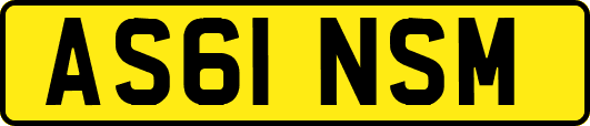 AS61NSM