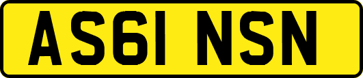 AS61NSN