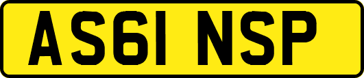 AS61NSP