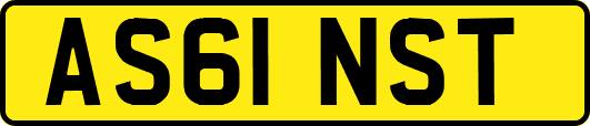 AS61NST