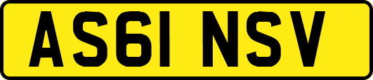 AS61NSV