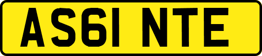 AS61NTE