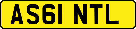 AS61NTL