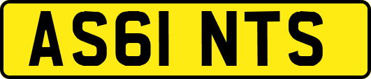 AS61NTS