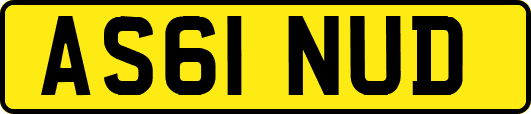 AS61NUD