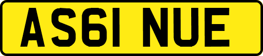AS61NUE