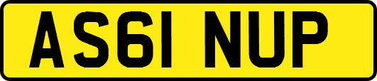 AS61NUP