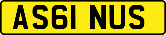 AS61NUS