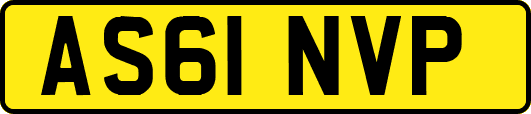 AS61NVP