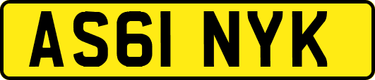AS61NYK