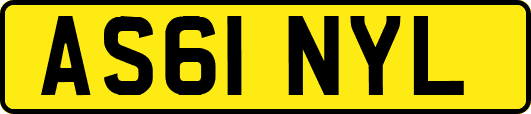AS61NYL