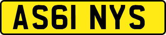 AS61NYS