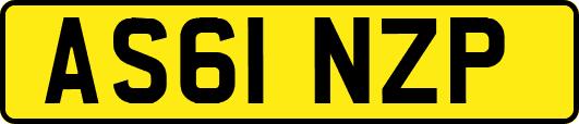 AS61NZP