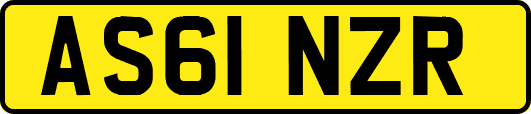 AS61NZR