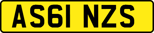 AS61NZS