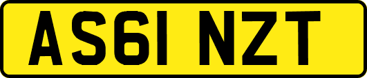 AS61NZT