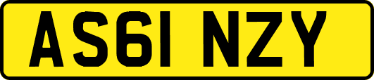 AS61NZY