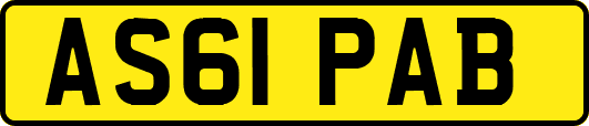 AS61PAB