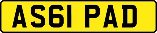 AS61PAD