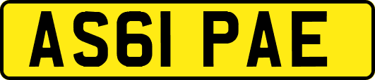 AS61PAE