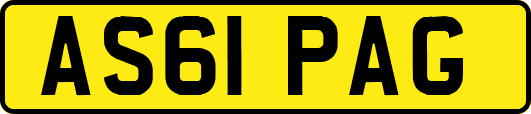 AS61PAG