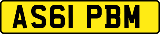 AS61PBM