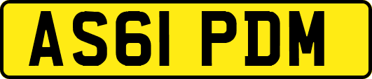 AS61PDM