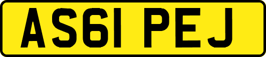 AS61PEJ