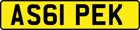 AS61PEK