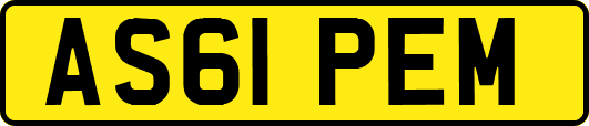 AS61PEM