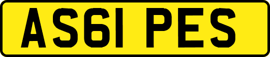 AS61PES