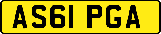 AS61PGA