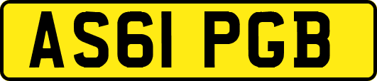 AS61PGB
