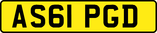 AS61PGD