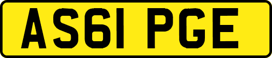 AS61PGE