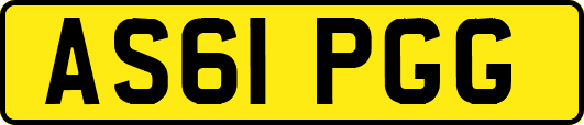 AS61PGG