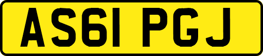 AS61PGJ