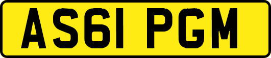 AS61PGM