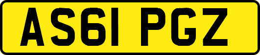 AS61PGZ