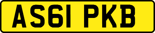 AS61PKB