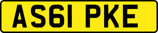 AS61PKE