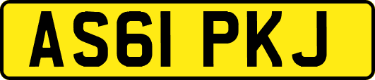 AS61PKJ