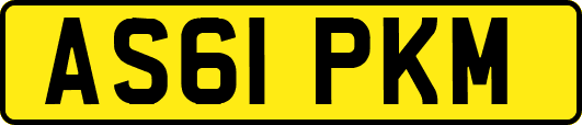 AS61PKM