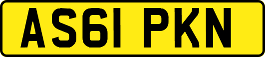 AS61PKN