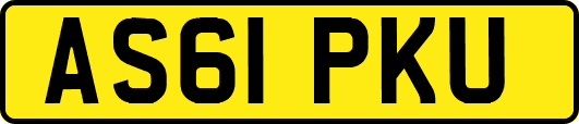 AS61PKU