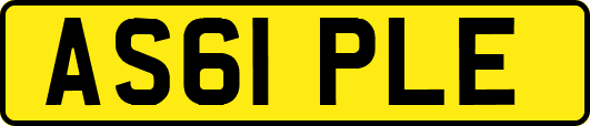 AS61PLE