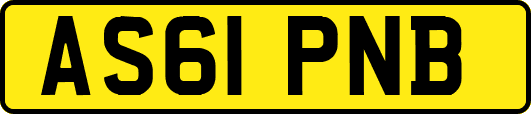 AS61PNB